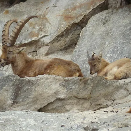 Haus Am Brunnen 3* Umhausen