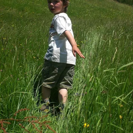 Bed & Breakfast Haus Am Brunnen